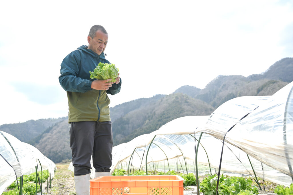 無農薬野菜の写真